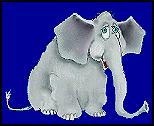 Elefant
