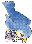 Vogel