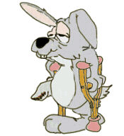 Hase