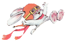 Hase